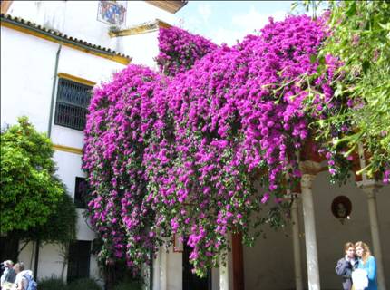 Casa Pilates 01.JPG